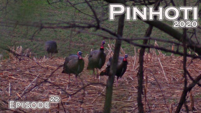 Pinhoti 2020 Ep 22 • Pinhoti Project