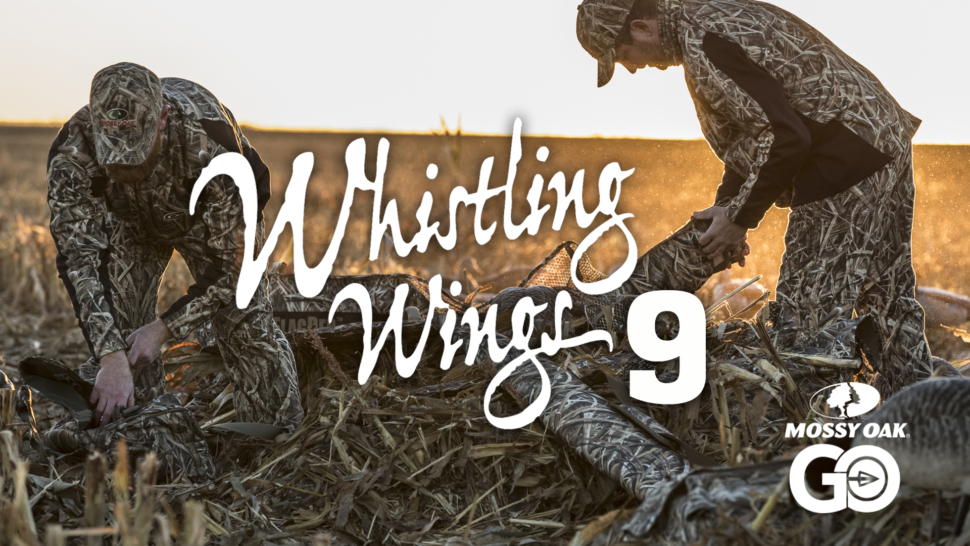 Whistling Wings 9