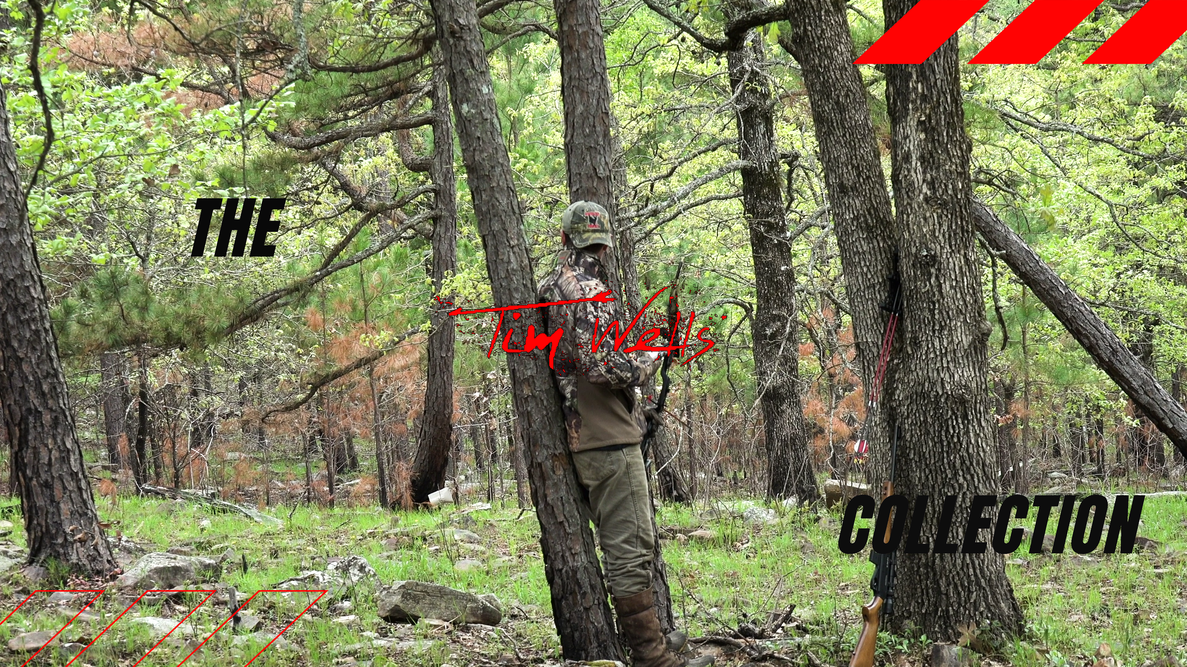 Three Dogs Running • Tim Wells