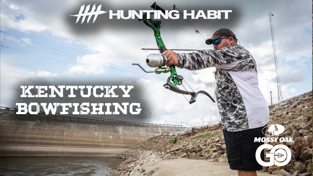 Hunting Habit · Bowfishing Silvers in Kentucky
