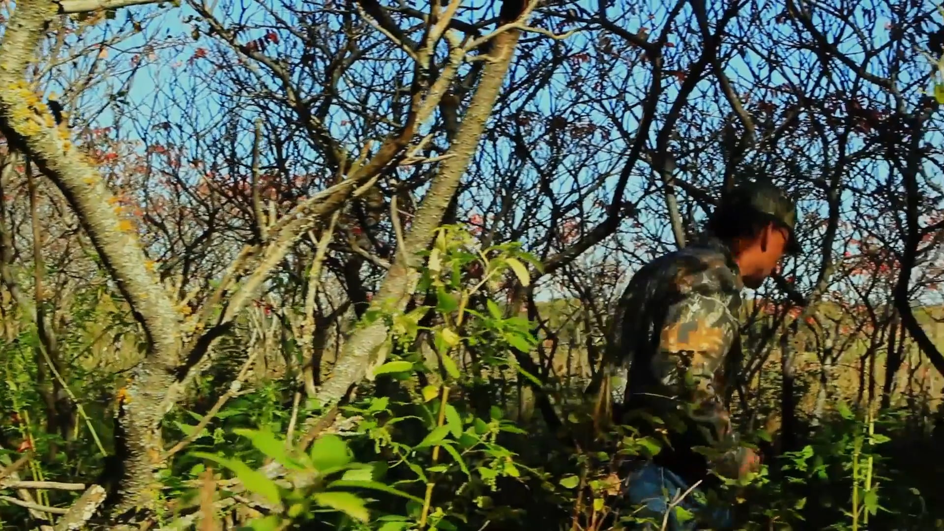 Our Public Lands, Part 2 • Whitetails in North Dakota