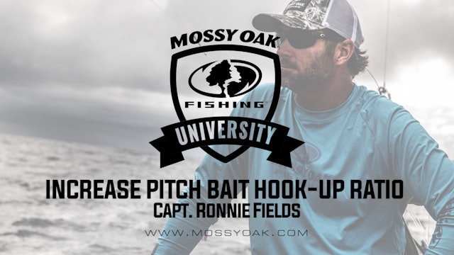 Increase Pitch Bait Hook-Up Ratio • Mossy Oak University