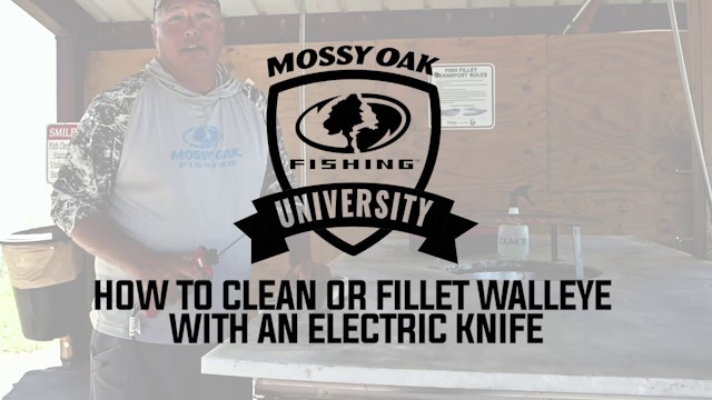 How To Clean or Fillet Walleye with an Electric Knife