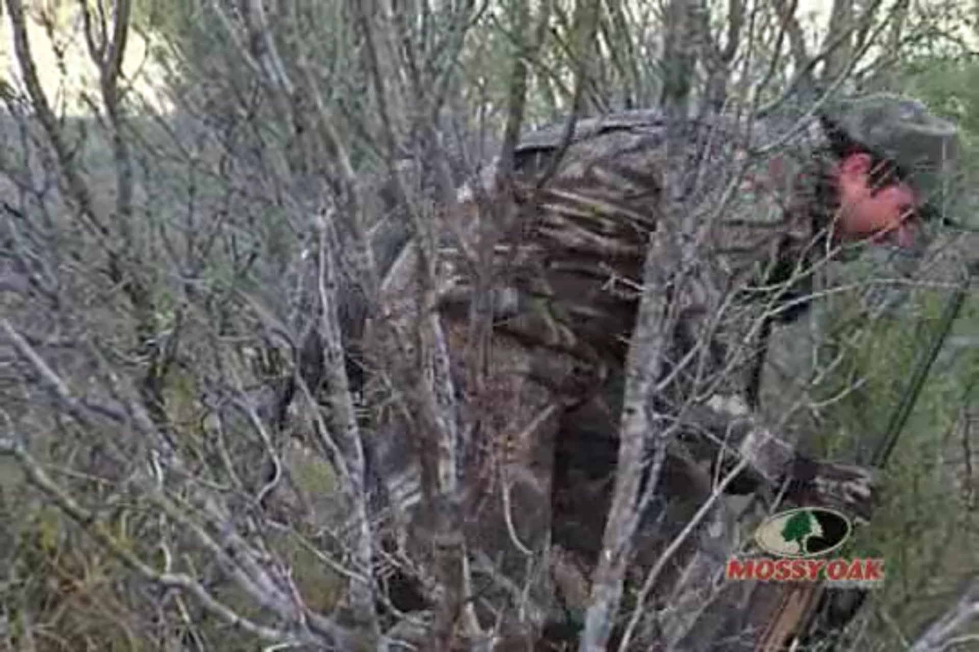 Texas Bucks on the Move • Deer Hunting the Lone Star State