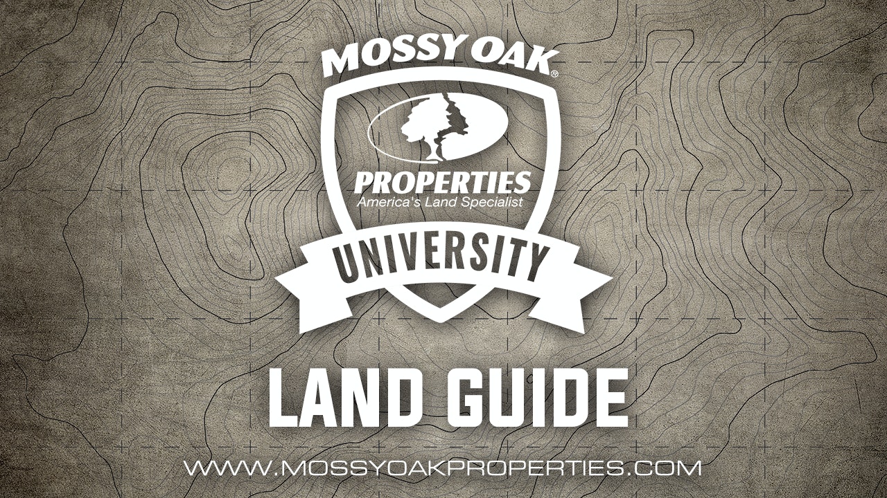 Mossy Oak Properties Tips