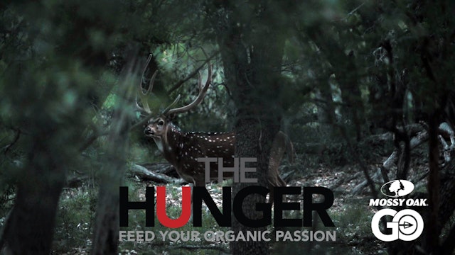 Lone Star Chital • The Hunger