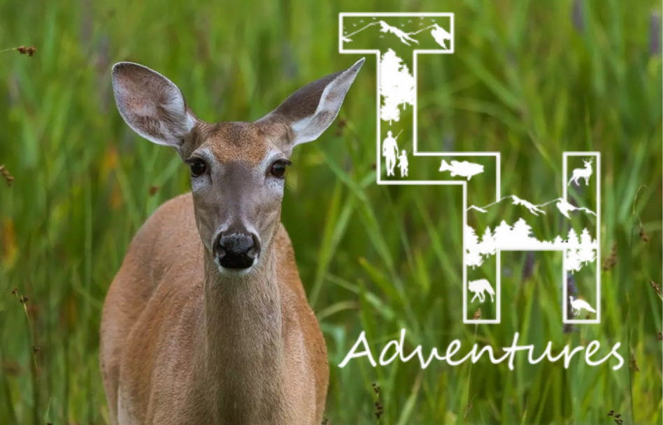 Late Season Freezer Fillers! • True Life Hunting Adventures