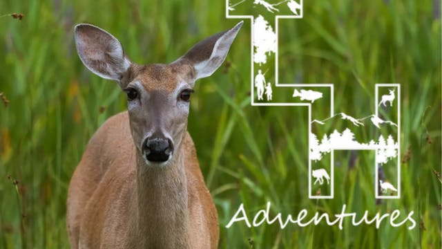 Late Season Freezer Fillers! • True L...