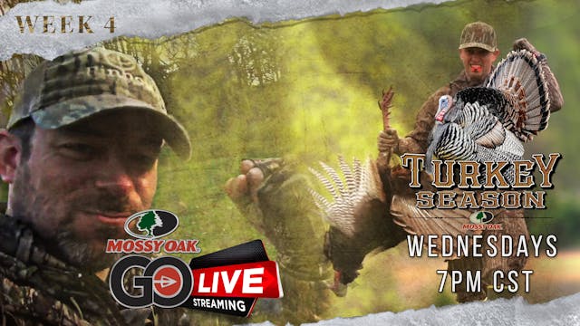 Live 3.16.2022 Turkey Season LIVE Replay