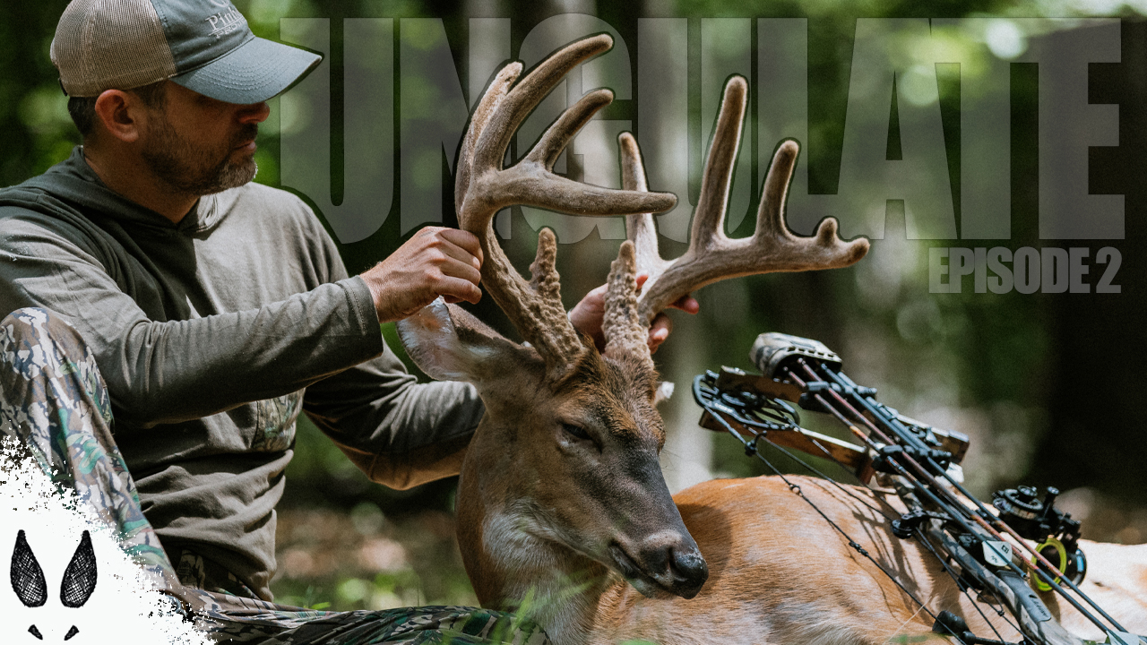 Ungulate Edition 2025 Ep2 • Pinhoti Project