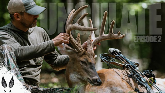 Ungulate Edition 2025 Ep2 • Pinhoti P...