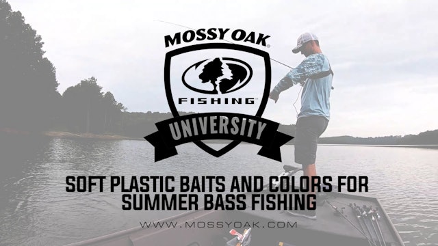 Best Soft Plastic Bait Style and Color for Summer Bass • Mossy Oak University