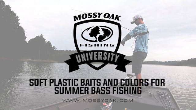 Best Soft Plastic Bait Style and Colo...