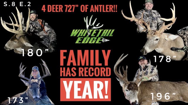 Tat: Family Has Record Year! • Whitet...