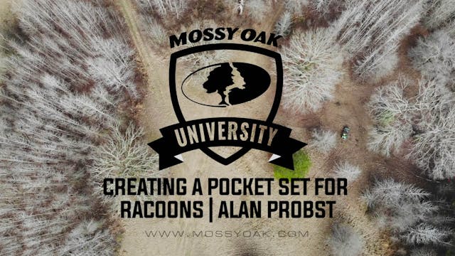 Creating a Pocket Set for Racoons wit...