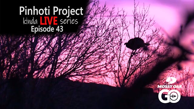 Kinda Live • Episode 43 • Pinhoti Pro...