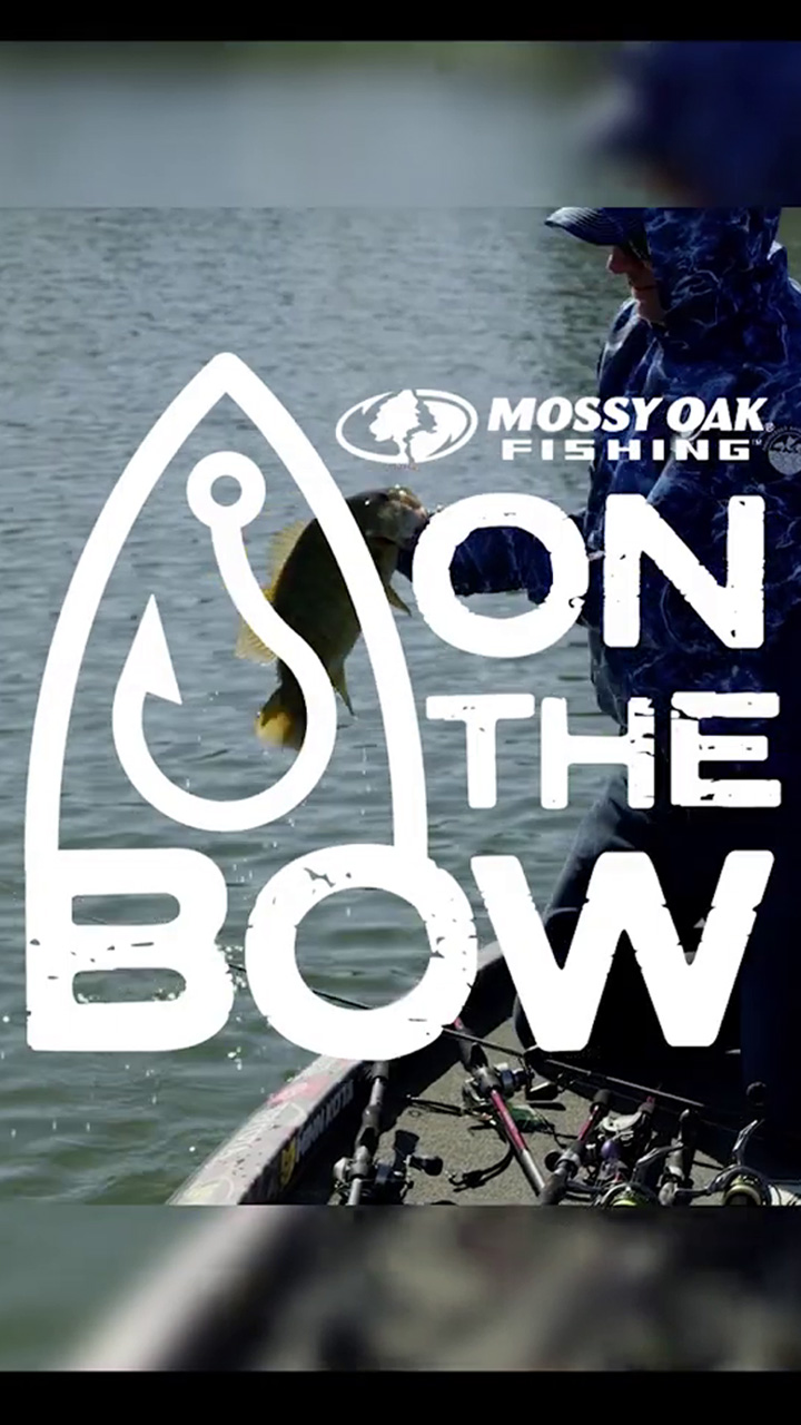 On the Bow with Kevin VanDam: Ned Rig Bait