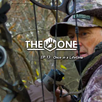 Once in a Lifetime • The One