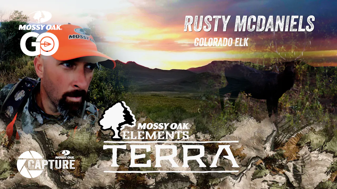 Rusty McDaniels Colorado Elk • Terra - Mossy Oak GO