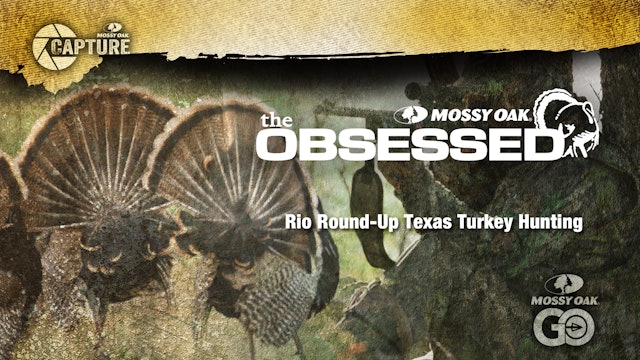 Rio Round Up • South Texas Turkey Hunting
