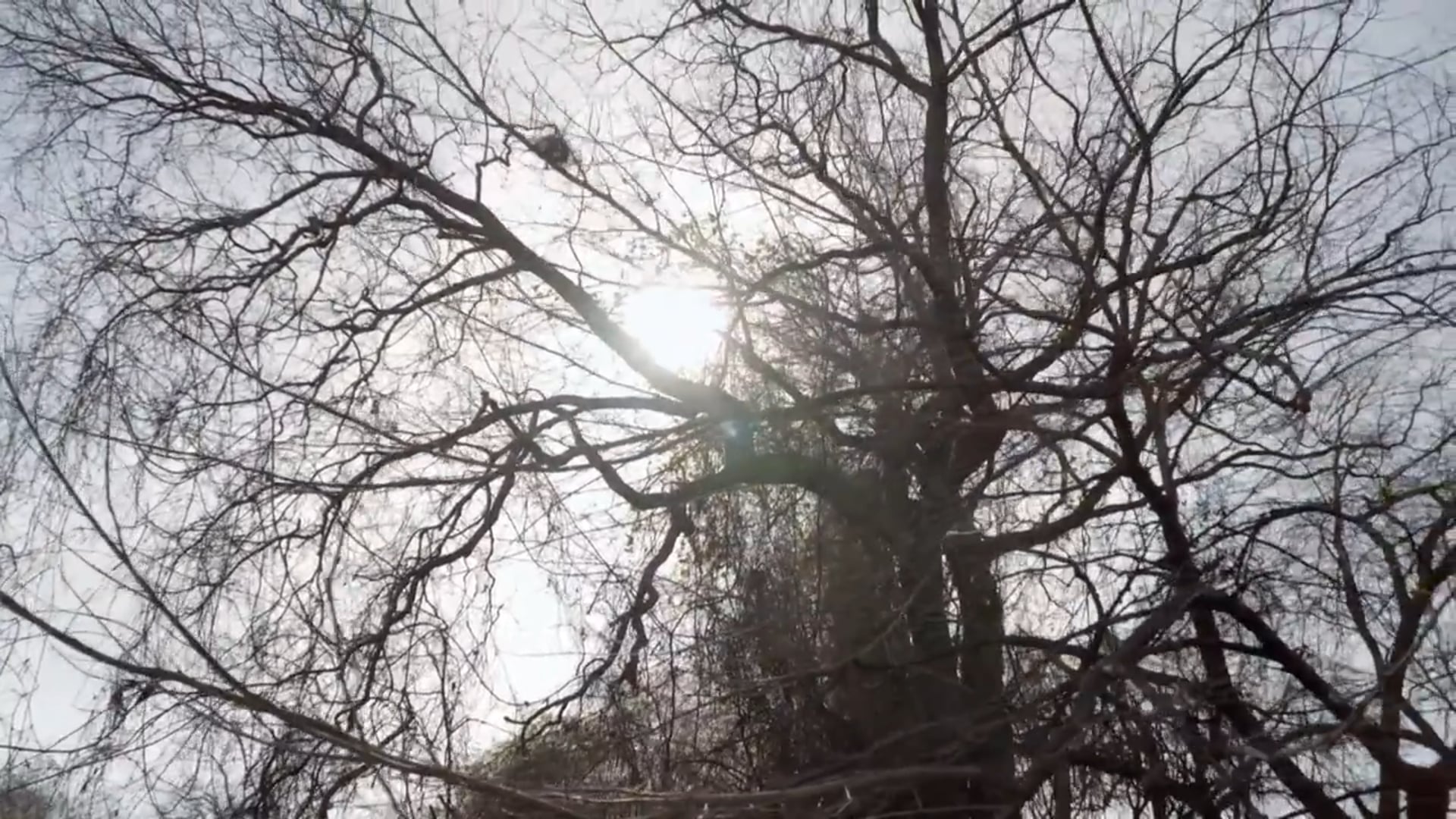 Lake Marble Falls • Fishing and Hunting Texas