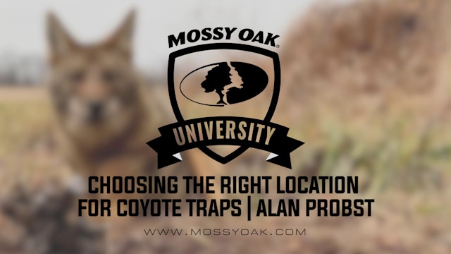 Choosing the Right Location For Coyote Traps with Alan Probst