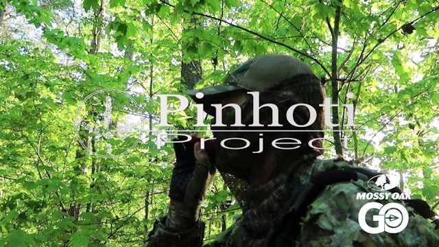Hunting Before Work • Risking A Fall For A Gobbler • Pinhoti Project Day 54.55
