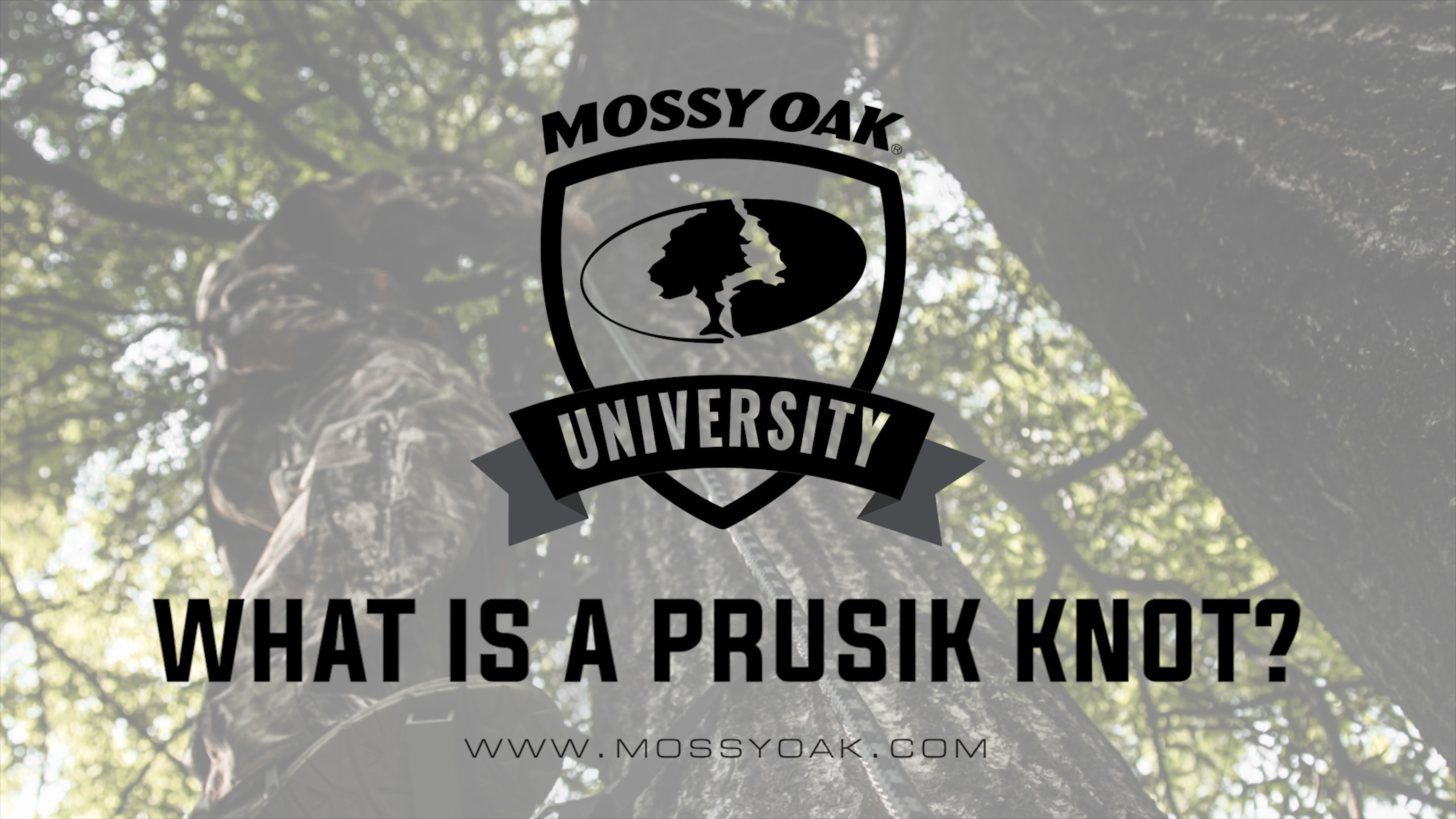 What is a Prusik Knot • Tree Stand Safety Tips