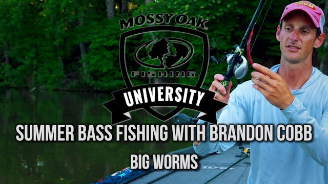 Summer Bass Fishing with Brandon Cobb...
