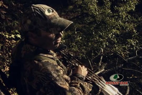Enon's Law • Bow Hunting Whitetails in Alabama