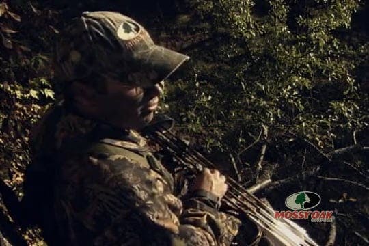 Enon's Law • Bow Hunting Whitetails i...