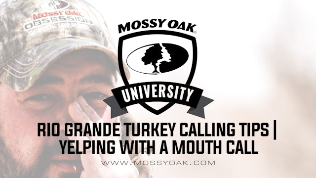 Rio Grande Turkey Calling Tip • Yelping with a Mouth Call