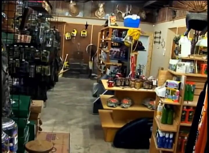 Photo Finish • Whitetails in Texas