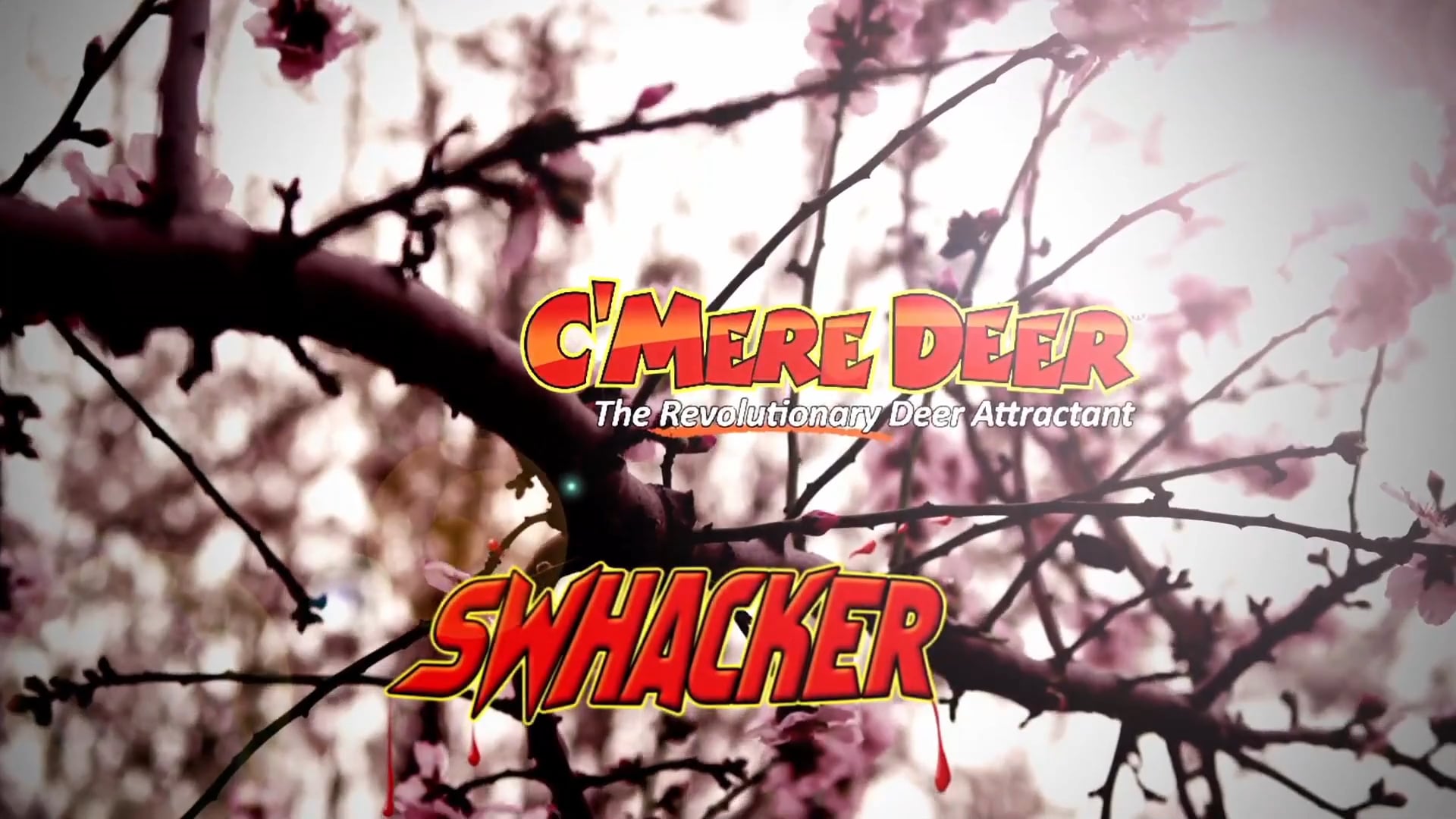 Craig Morgan, Part 1 • Deer Country Music