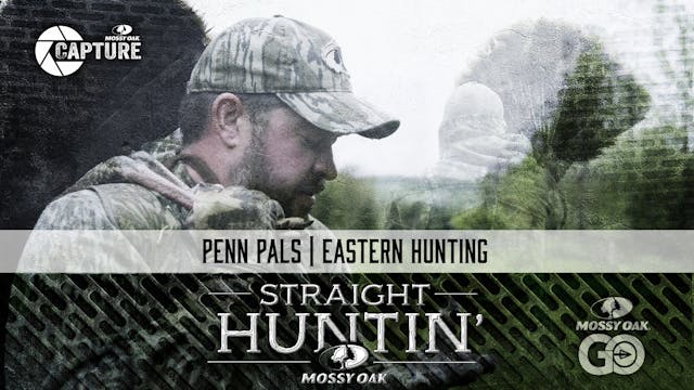 Penn Pals • Eastern Hunting • Straigh...