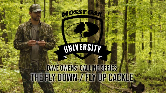 Dave Owens’ Turkey Calling Tips: THE ...