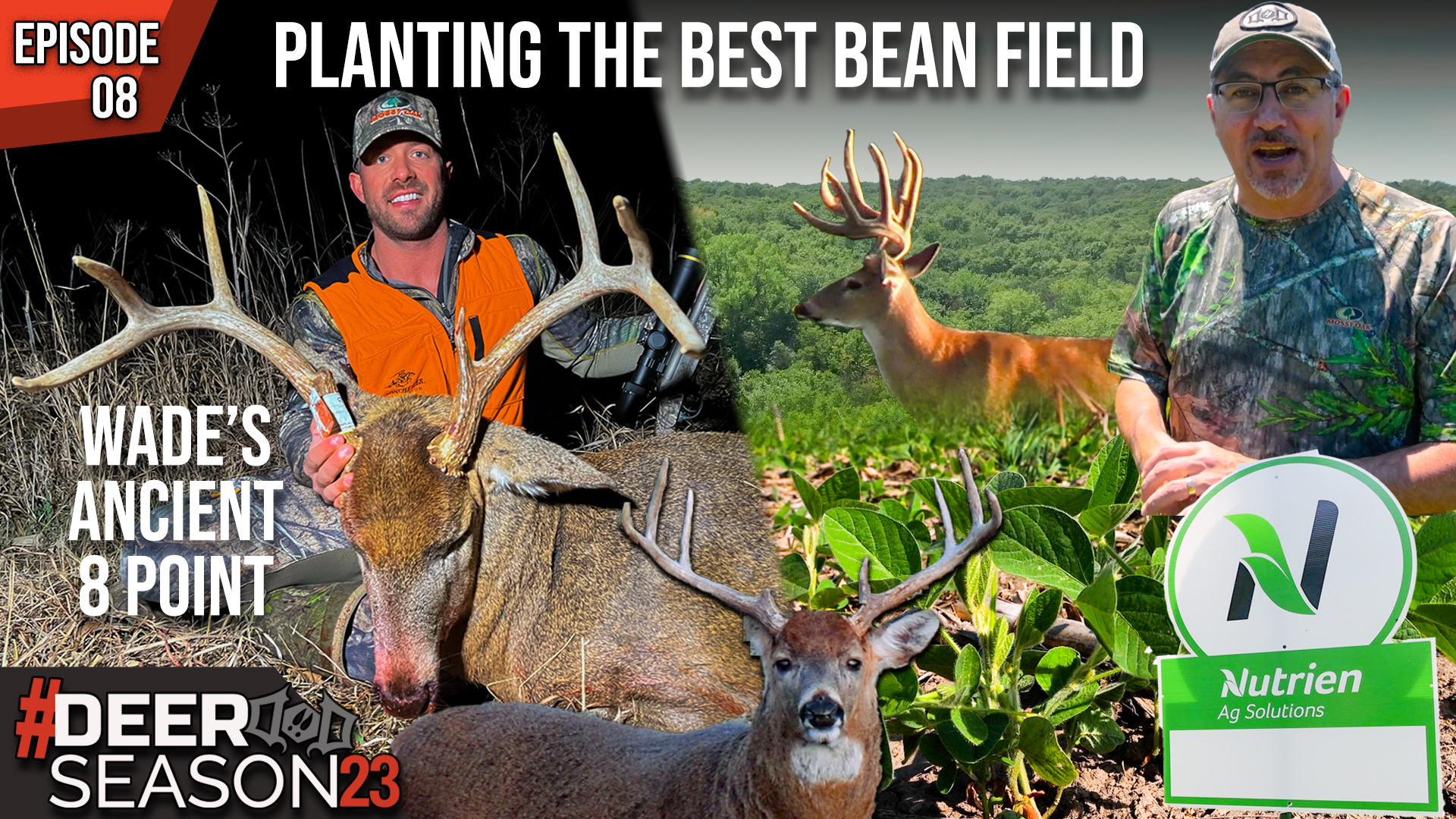 Summer Prep That Leads To Fall Success, Wade's Ancient 8 Point | Deer Season 23