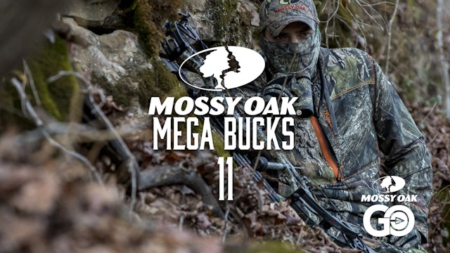 Mega Bucks 11