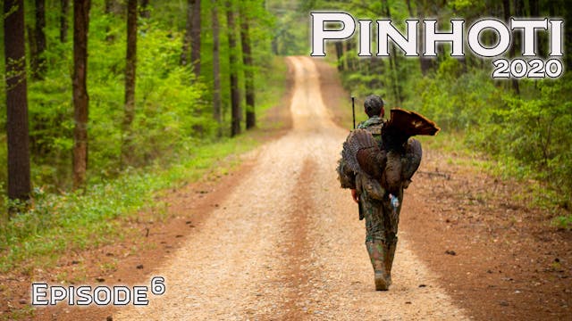 Pinhoti 2020 Ep 6 • Pinhoti Project