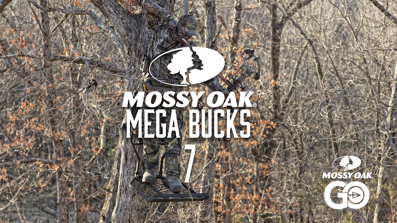 Mega Bucks 7