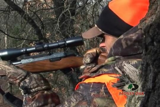 A Cut Above • A Father and Son Go Above and Beyond