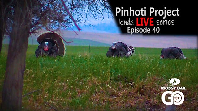 Kinda Live • Episode 40 • Pinhoti Pro...