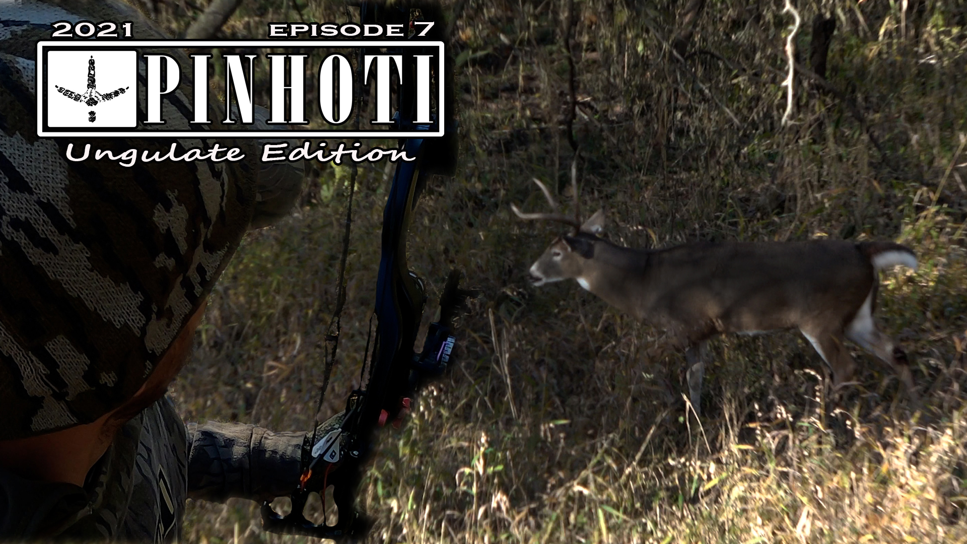 Ungulate Edition Ep7 • Pinhoti Project