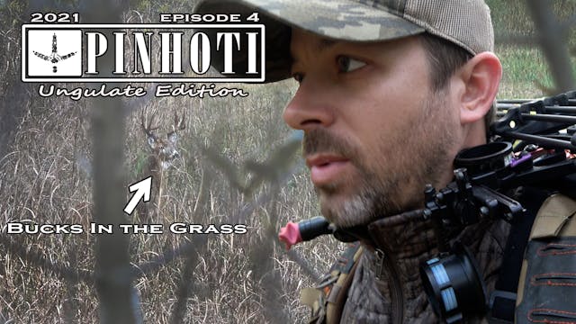 Ungulate Edition 2021 Ep4 • Pinhoti P...
