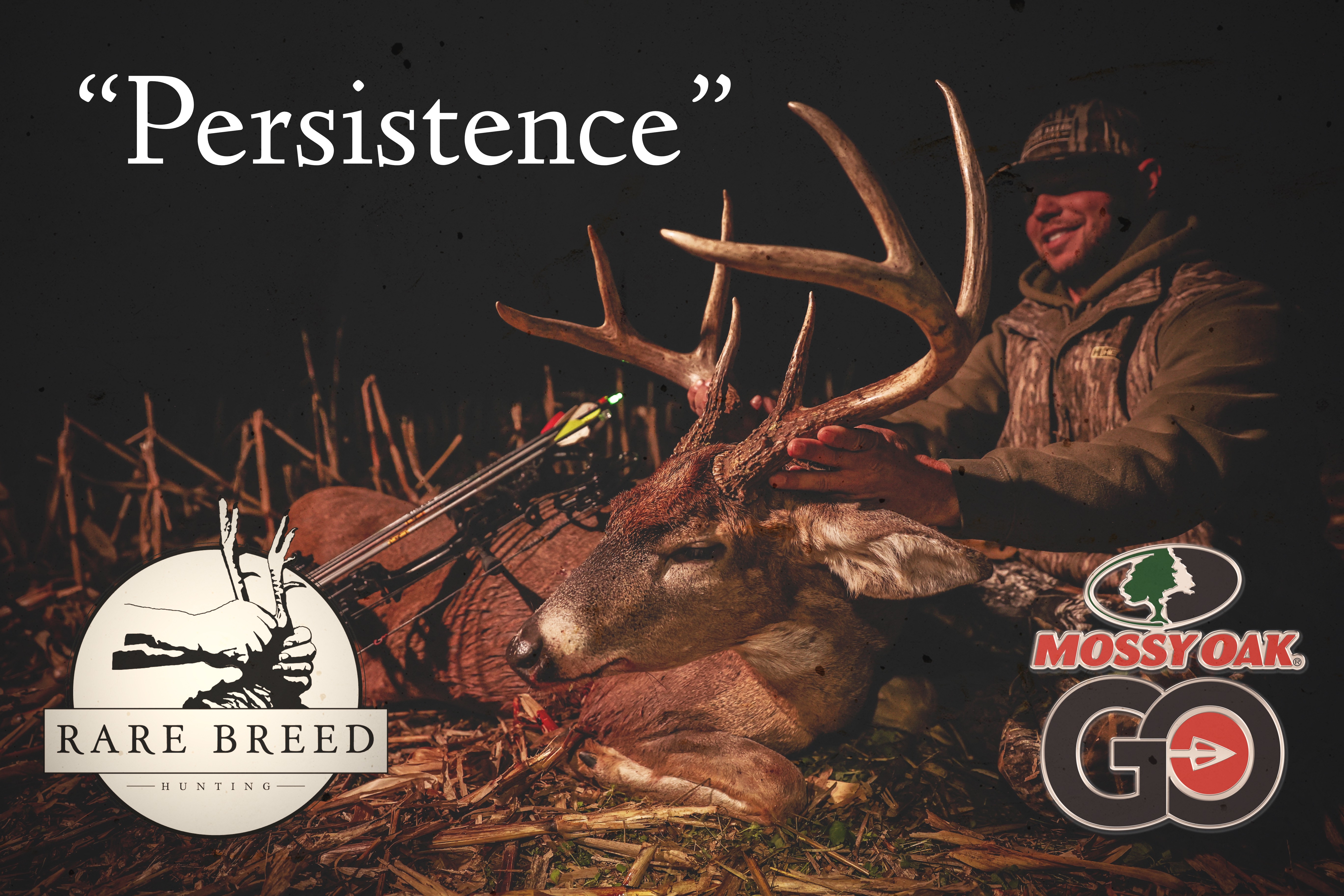 Persistence • Rare Breed