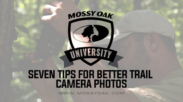 7 Tips for Better Trail Camera Photos