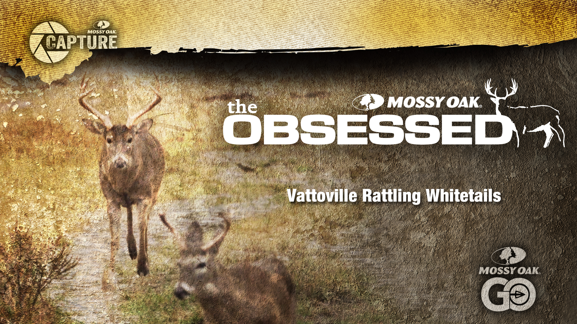 Vatoville Deer Rattling • Texas Deer Hunting