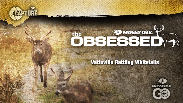 Vatoville Deer Rattling • Texas Deer Hunting