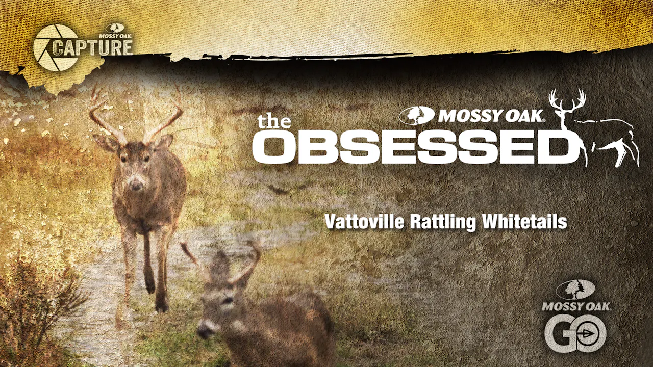 Vatoville Deer Rattling • Texas Deer Hunting - Mossy Oak GO