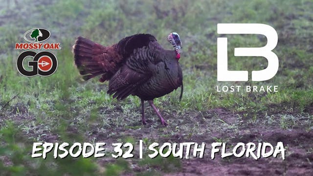 Lost Brake • South Florida • Episode 32